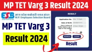 MP TET Varg 3 Result 2024