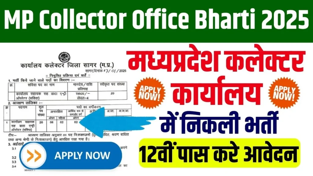 MP Collector Office Bharti 2025
