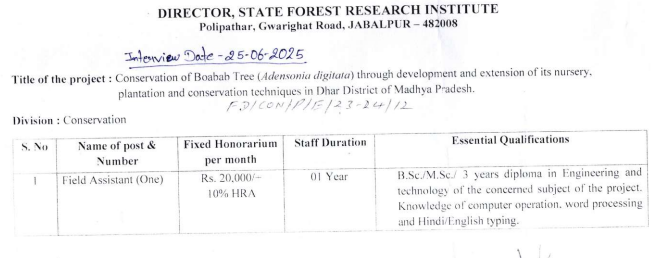 MP Forest Vacancy 2025 New: मध्य प्रदेश जबलपुर वन विभाग में निकली सीधी भर्ती, इंटरव्यू से मिलेगी नौकरी MP Forest Vacancy 2025