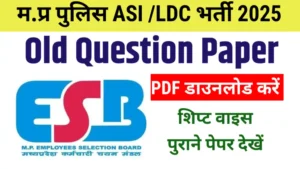 MP Police ASI(LDC) and Subedar(Steno) Old Question Paper