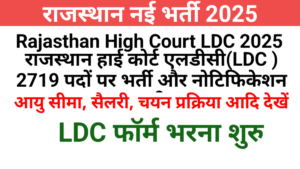 Rajasthan High Court LDC Bharti 2025