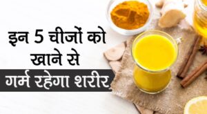 सर्दियों में शरीर को अंदर से गर्म रखने के लिए जरूरी खाद्य पदार्थ
