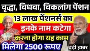 Pension New Rules 2025: पेंशन राशि वृद्धि, नई स्कीम, डिजिटल कार्ड और पात्रता में बदलाव | Pension Latest News 2025